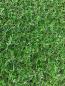 Mobile Preview: Rasenteppich (9€/m²) Kunstrasen Fertigrasen Viper grün 200 cm Breite